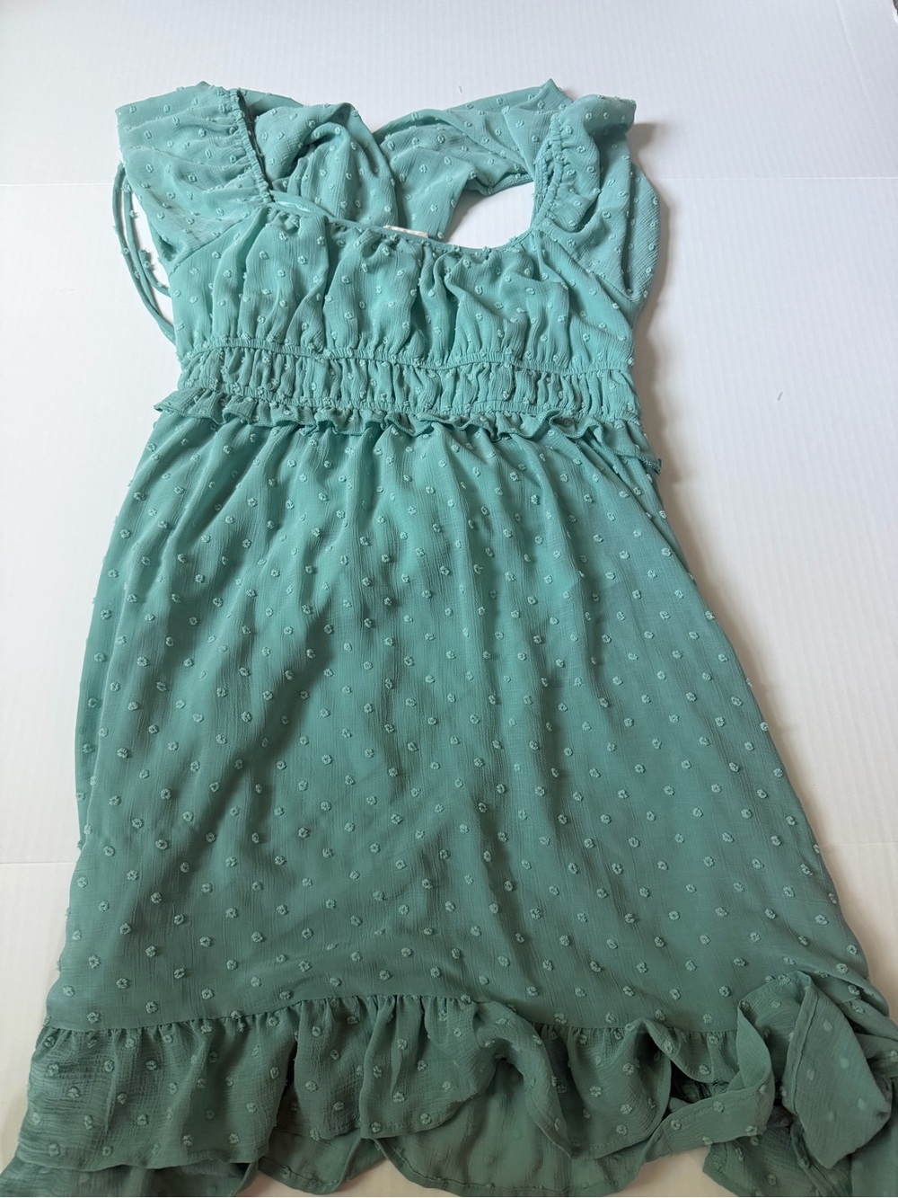 Altar'd State Mint Green Swiss Dot Ruffle-Hem Dress